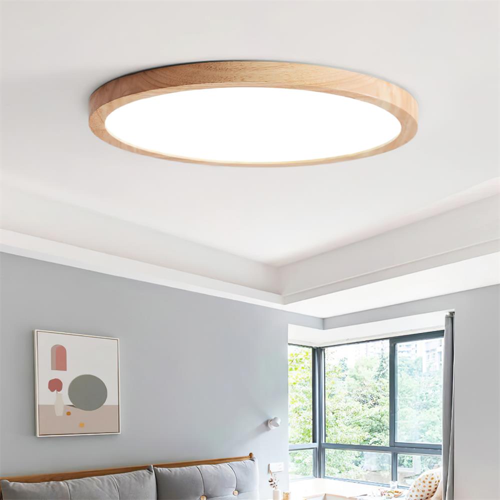 Ceiling Light