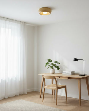 Zuwa Ceiling Light