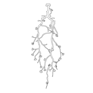 Large Long Branch Flower Chandelier
