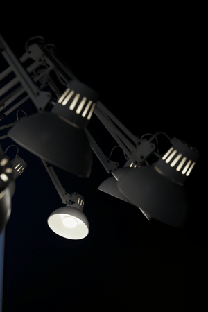 Dear Ingo Chandelier