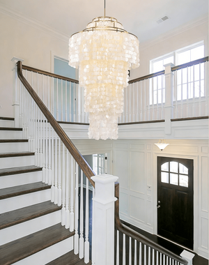 Nerida Shell Chandelier