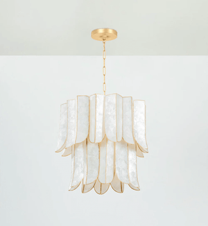 Cascara Shell Chandelier