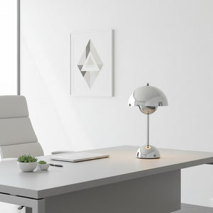 Rechargeable LED Small Desk Lamp