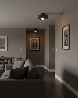 Carneros Ceiling Lamp