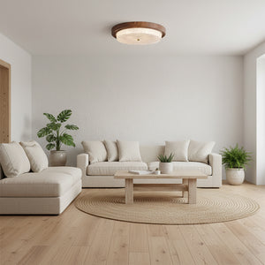 Rays Ceiling Light