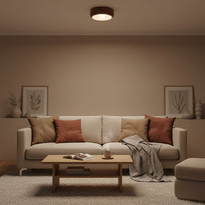 Lámpara de techo Kovacs 11,8″- 4,3″