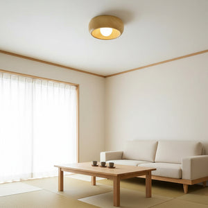 Zuwa Ceiling Light