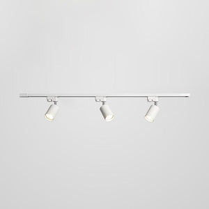 Adjustable Spotlight Track Ceiling Light