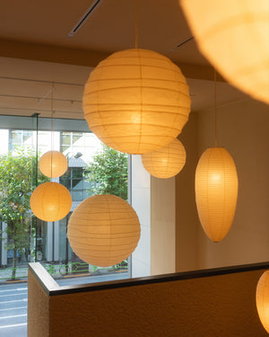 Akari D Series Pendant Lamp