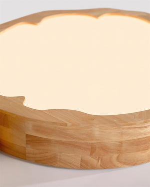 Animal Cute Ceiling Lamp