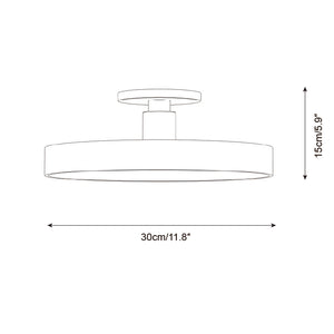 Azure Plate Ceiling Lamp