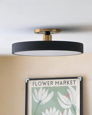 Azure Plate Ceiling Lamp