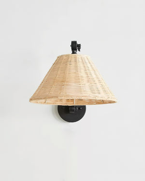 Barnes Swing Arm Wall Lamp