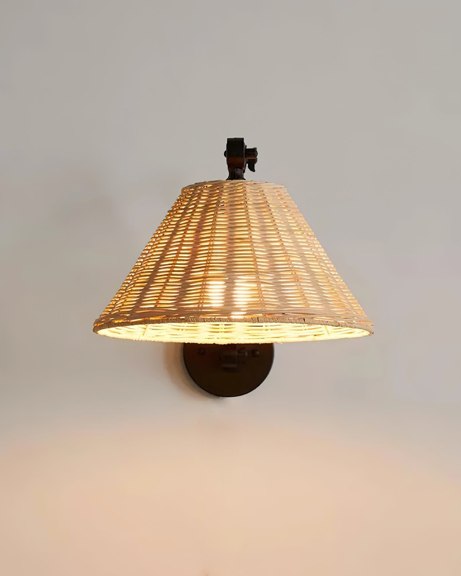 Barnes Swing Arm Wall Lamp