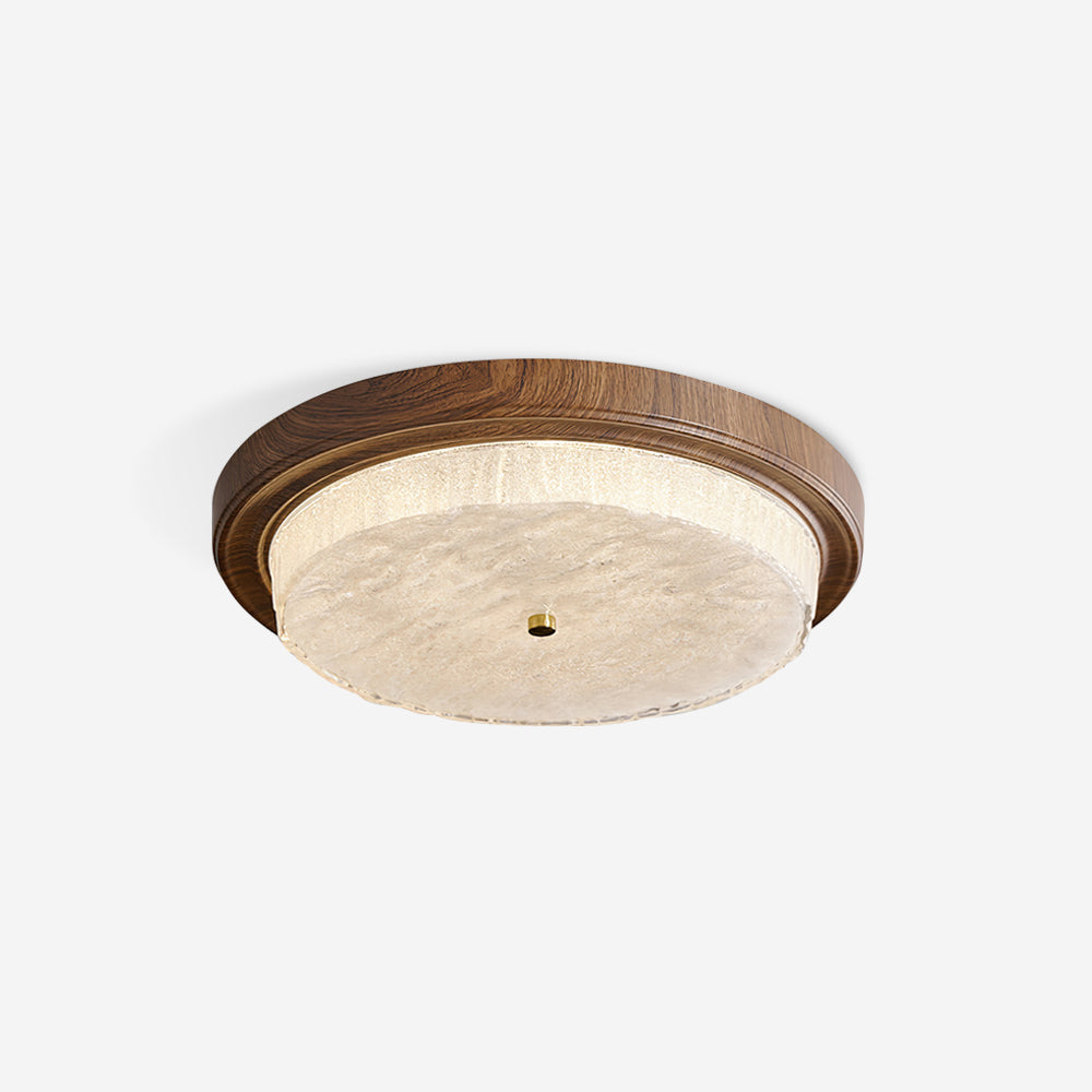 Rays Ceiling Light