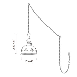 Belle Fleur Plug In Pendant Light