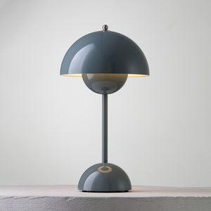 Rechargeable LED Small Desk Lamp