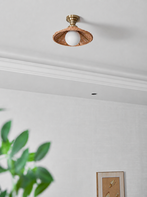 Breezy Haven Ceiling Lamp