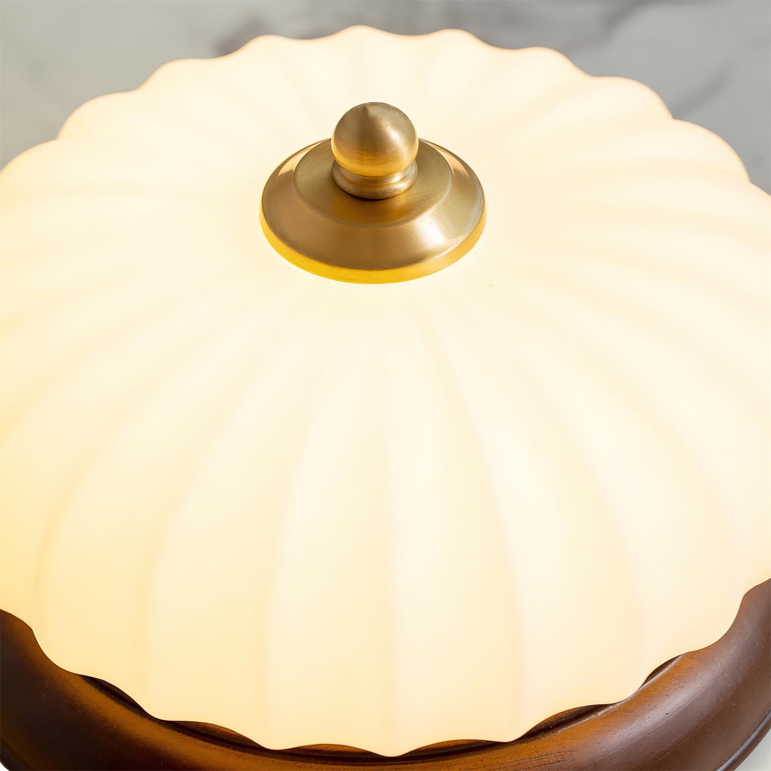 Brioche Ceiling Lamp