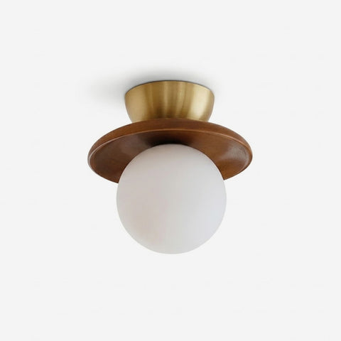 Luz de Techo Globe Brody