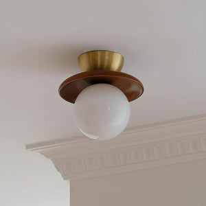 Brody Globe Ceiling Light