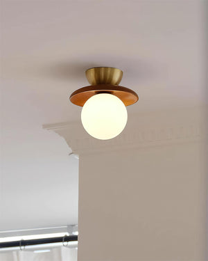 Brody Globe Ceiling Light