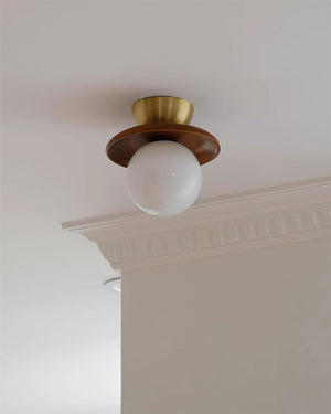 Brody Globe Ceiling Light