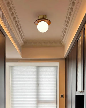 Brody Globe Ceiling Light