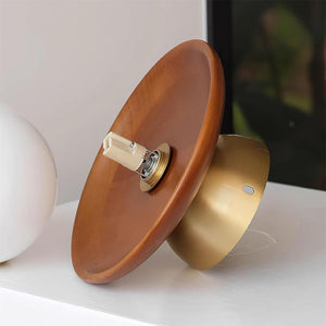 Brody Globe Ceiling Light