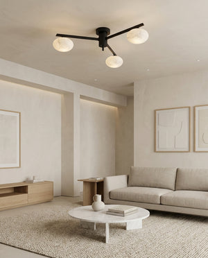 Caelvane Flush Mount Ceiling Light