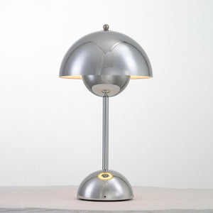 Rechargeable LED Small Desk Lamp