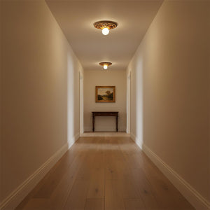 Circa Ceiling Light