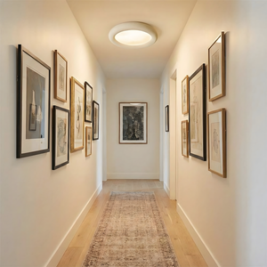 Luz de techo concisa