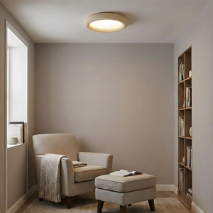 Luz de techo concisa