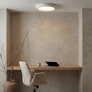 Luz de techo concisa