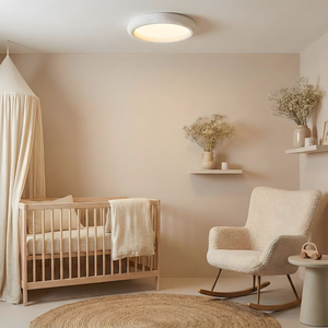 Luz de techo concisa