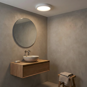 Luz de techo concisa