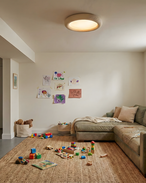 Luz de techo concisa