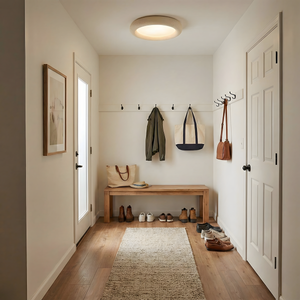 Luz de techo concisa