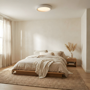 Luz de techo concisa