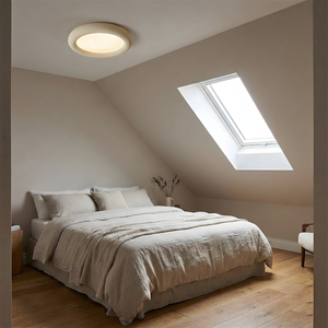 Luz de techo concisa