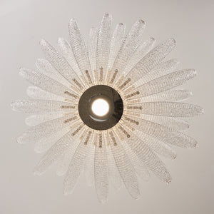 Coralume Chandelier