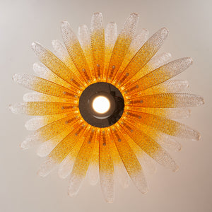 Coralume Chandelier