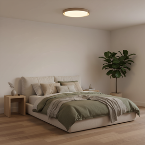 Dari Round Ceiling Light