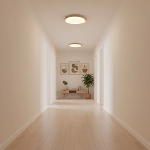 Dari Round Ceiling Light
