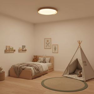 Dari Round Ceiling Light