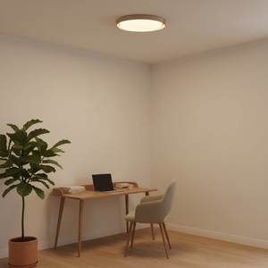 Dari Round Ceiling Light