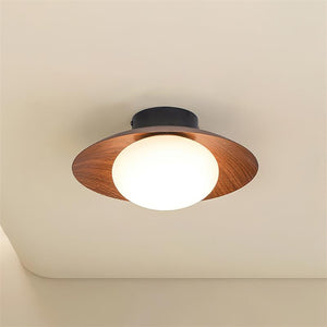 Dawn Ceiling Light