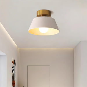 Devon Ceiling Light