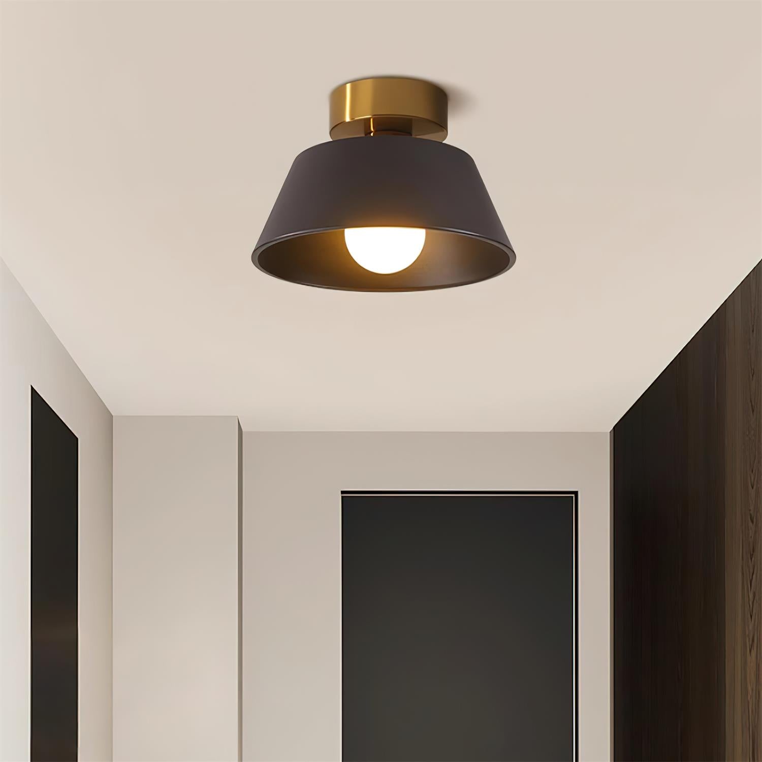 Devon Ceiling Light